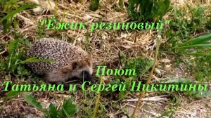 Ёжик резиновый