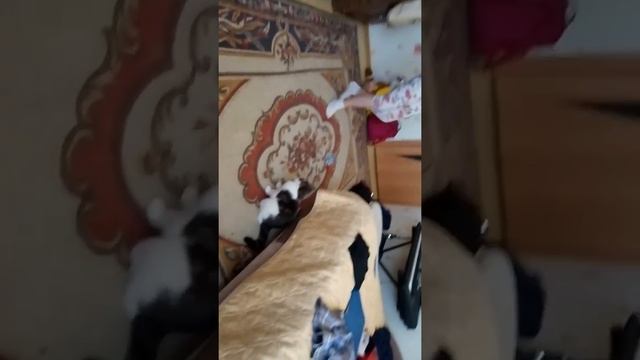 Сходим с усма или танцуем? Решать вам смотреть онлайн