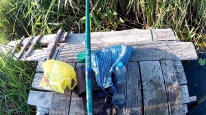 Ловля Леща на Поплавок с Берега