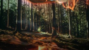 Лесные пожары