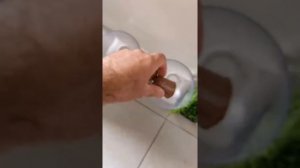 обзор корма для кошек из Мираторг/Winner