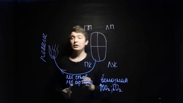 Круги кровообращения для ЕГЭ | Andrey Biology