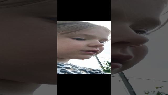 огород