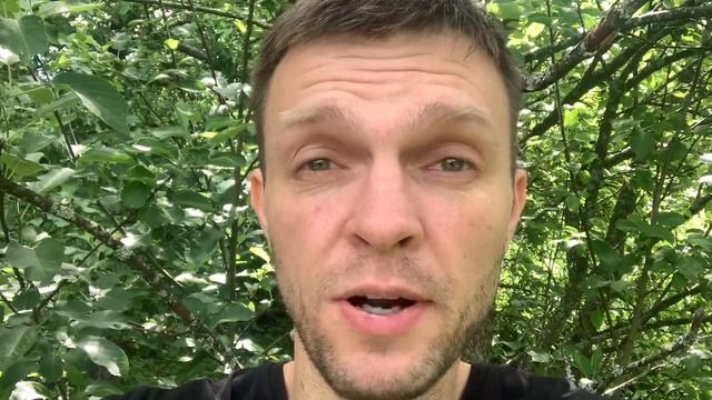 КАК ПОДПИСАТЬСЯ НА ПЛАТНЫЙ ТЕЛЕГРАМ КАНАЛ С АНАЛИТИКОЙ БОКСА? смотреть онлайн