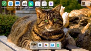 Делаю Cat OS 13.2 с подписчиками