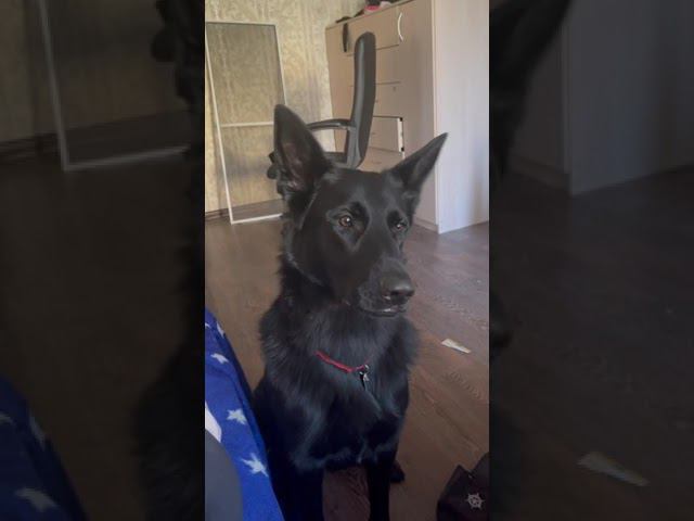 IMG 0076 смотреть онлайн