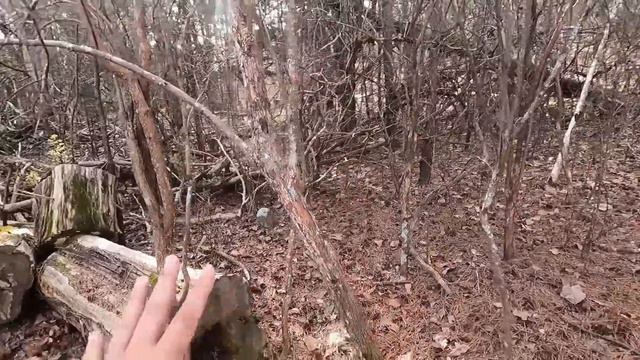 150 YEAR OLD CHURCH RUINS AND GRAVEYARD ABANDONED DEEP IN THE WOODS  TERRY CHURCH ON THE MOUNTAIN