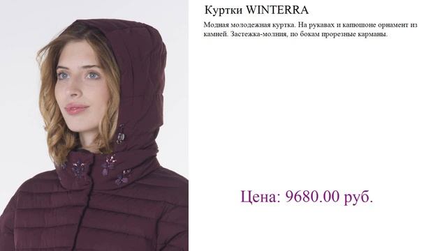 Куртки WINTERRA куртки зима мужские