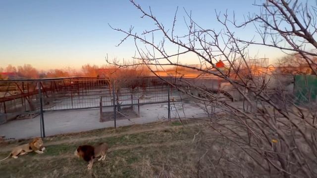 ОХОТА НА ВЕДЬМ или провокаторы в Тайгане! смотреть онлайн