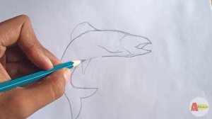 How to Draw a Trout Fish ? Easily And Step by Step | Trout Fish Pencil Drawing And Sketching