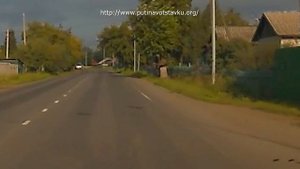 Коршун хватает добычу на трассе | Кемерово