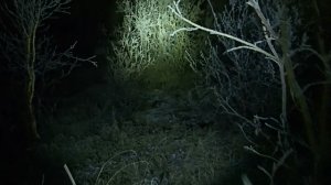 2023.10.16. Мистическая тундра