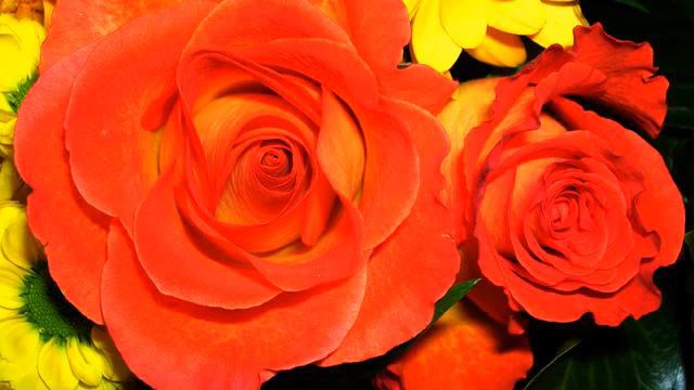 Канал хороших русских песен и фото онлайн смотреть онлайн