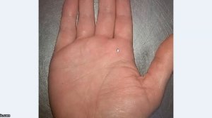 вторая линия судьбы. хиромантия