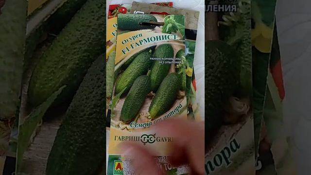 Семена огурцов#огурцы#семена — смотреть онлайн видео, бесплатно!