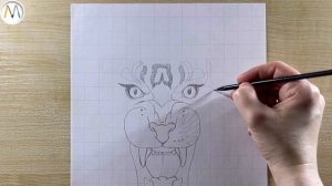 Как нарисовать АМУРСКОГО ТИГРА / Amur tiger drawing