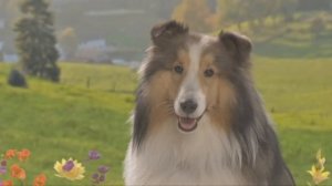 КАКИЕ ЖИВОТНЫЕ ЖИВУТ НА ФЕРМЕ? музыкальный мультик. Ферма Микки все серии про животных  подряд