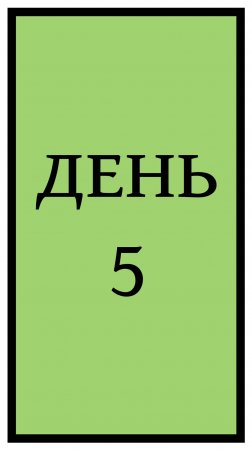 День 5