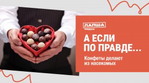 КОНФЕТЫ KINDER ДЕЛАЮТ ИЗ НАСЕКОМЫХ I В СОСТАВЕ КОНФЕТ НАШЛИ ЖУКОВ I РАЗБОР ФЕЙКОВОГО ВИДЕО