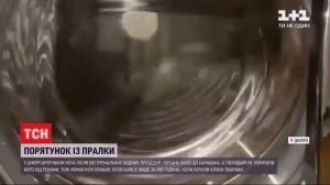 Тем временем в Днепре случайно постирали кота в стиральной машине.