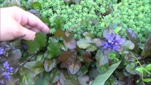 Дача. МЕТРО. Коптильня. Живучка. Мастерим. Дела дачные. Ответы про отель. смотреть онлайн