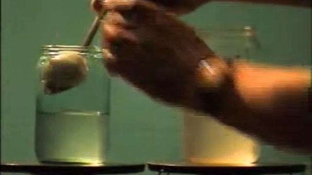 Плавание тел смотреть онлайн