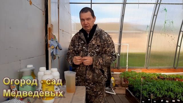 Первая листовая подкормка озимого чеснока