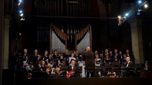 Альбинони - Адажио - Albinoni- Adagio - соло скрипки - Елена Токовинина