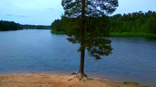 ВЫРИЦА лето 2017 смотреть онлайн