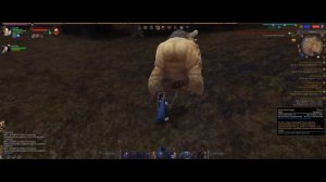 Return of Reckoning , смешная подборка