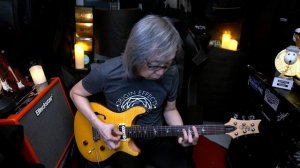 PRS SE Custom 22 Semi Hollow