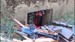 ЛЕГЕНДАРНЫЙ КЛАД НАЙДЕН! БРИЛЛИАНТЫ В ЗОЛОТЫХ ОПРАВАХ НЕВЕРОЯТНОЙ ЦЕНЫ! LEGENDARY TREASURES FOUND!