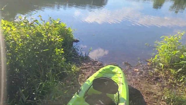 Отдых на природе с палатками штат Джорджия США смотреть онлайн