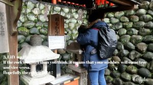 Travel Vlog : Fushimi Inari Taisha, Kyoto, Japan