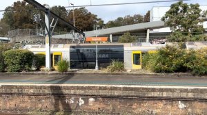 Sydney Trains Vlog 1976: Kogarah Trainspotting