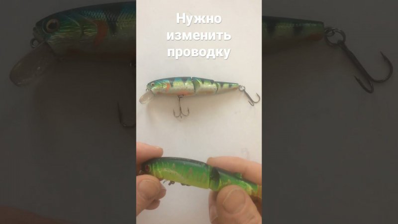 Почему плохо клюёт на составные воблеры