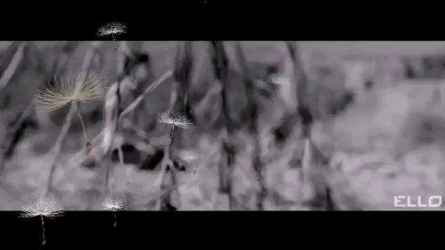 Припев"лови мои цветные сны"Дмитрий Билан смотреть онлайн