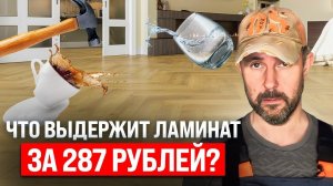 Что выдержит Ламинат с распродажи? Проверяем на прочность ламинат за 287 рублей в краш-тесте