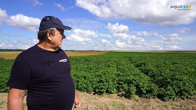 Возделывание картофеля в КФХ "Дружба и К" смотреть онлайн