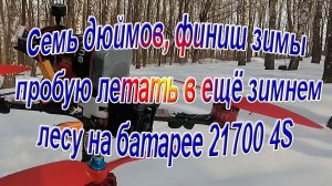 Семь дюймов, финиш зимы, пробую летать в ещё зимнем лесу на батарее 21700