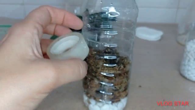 TERAPIA DE BOTELLA PARA DOS ORQUÍDEAS MORIBUNDAS😨🍶 смотреть онлайн