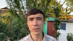 Подкормка и полив плодовых деревьев летом. Как правильно поливать и подкармливать деревья в саду.