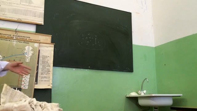 Регуляция деятельности сердца смотреть онлайн