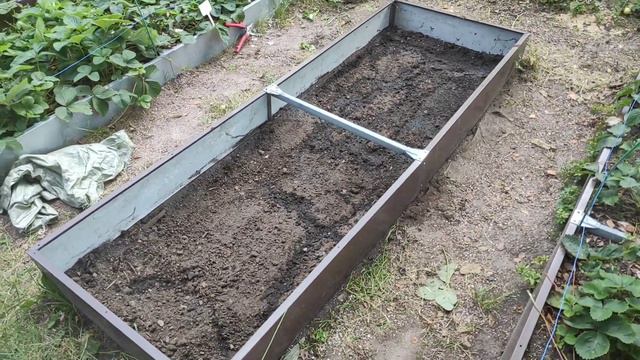 ДАЧА 29.07-01.08.21.меняем землю у клубники😁3 часть. смотреть онлайн