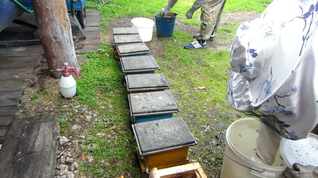 ЗАСЕЛЕНИЕ ДВУХ И ТРЁХ РАМОЧНЫХ НУКЛЕУСОВ, А ТАКЖЕ НА 145 РАМКУ🔥🔥🔥 смотреть онлайн