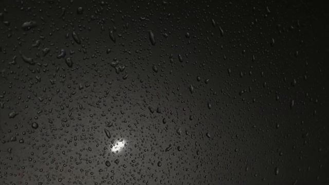 Honda Civic 4D смотреть онлайн