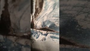 Вода в салоне пассат б5