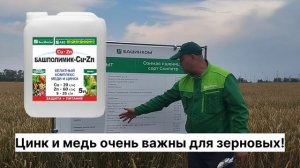 Что важно для пшеницы и зерновых?День поля НВП "БашИнком" 2024г