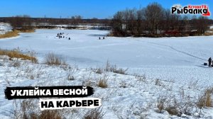 Уклейка весной на карьере.