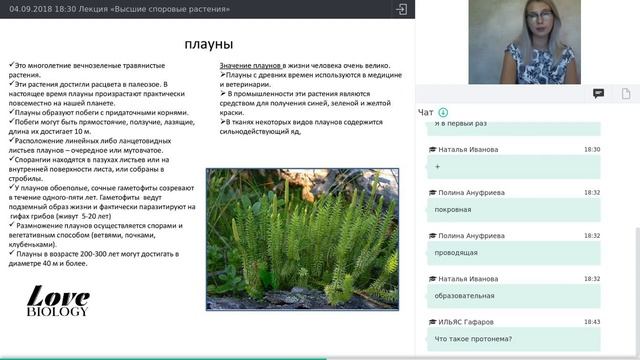 Лекция «Высшие споровые растения»